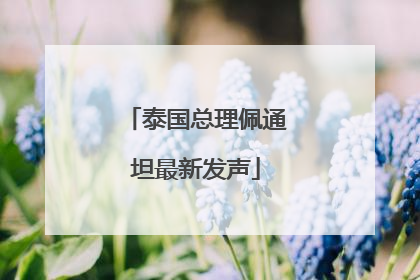 泰国总理佩通坦最新发声